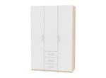 Шкаф R-198/230х135х45-3